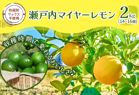 マイヤーレモン 約2kg 14～16個 / レモン オレンジ 交配 品種 檸檬 れもん 柑橘 フルーツ 皮ごと 料理 お菓子作り ジャム作り レモネード はちみつ漬け ドレッシング 贈答 ギフト プレゼント 人気 おすすめ / 山口県岩国市/株式会社神東ファーム [BUBD008]