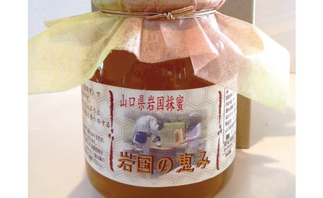 岩国の恵み はちみつ 400g /  パン トースト ヨーグルト 紅茶 料理 お菓子作り 朝食 甘味料 はちみつレモン 手土産 お取り寄せ ホットケーキ 家族 ハニートースト 甘い 贈答 ギフト プレゼント 人気 おすすめ / 山口県岩国市/有限会社ビ庵 [BUBN005]