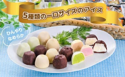 A002 チョコアイスボールセット（65粒入） 5種類×13個 バニラ ストロベリー コーヒー クランチ 抹茶