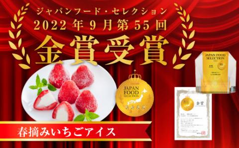 A011 春摘み いちごアイス（18粒）ギフトBOX入り 一口アイス 苺 アイス