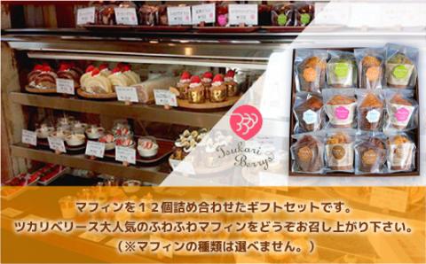 E003 ベリーズギフトBOX マフィンセット 12個 詰め合わせ