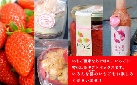 E008 特選いちごギフト（大）いちごギフト（大）詰め合わせ （光市産いちご300g×1, 甘酒 330g×1, いちごジャム×1個, 焼き菓子×5個）【100セット限定】【2026年1月12日以降発送】
