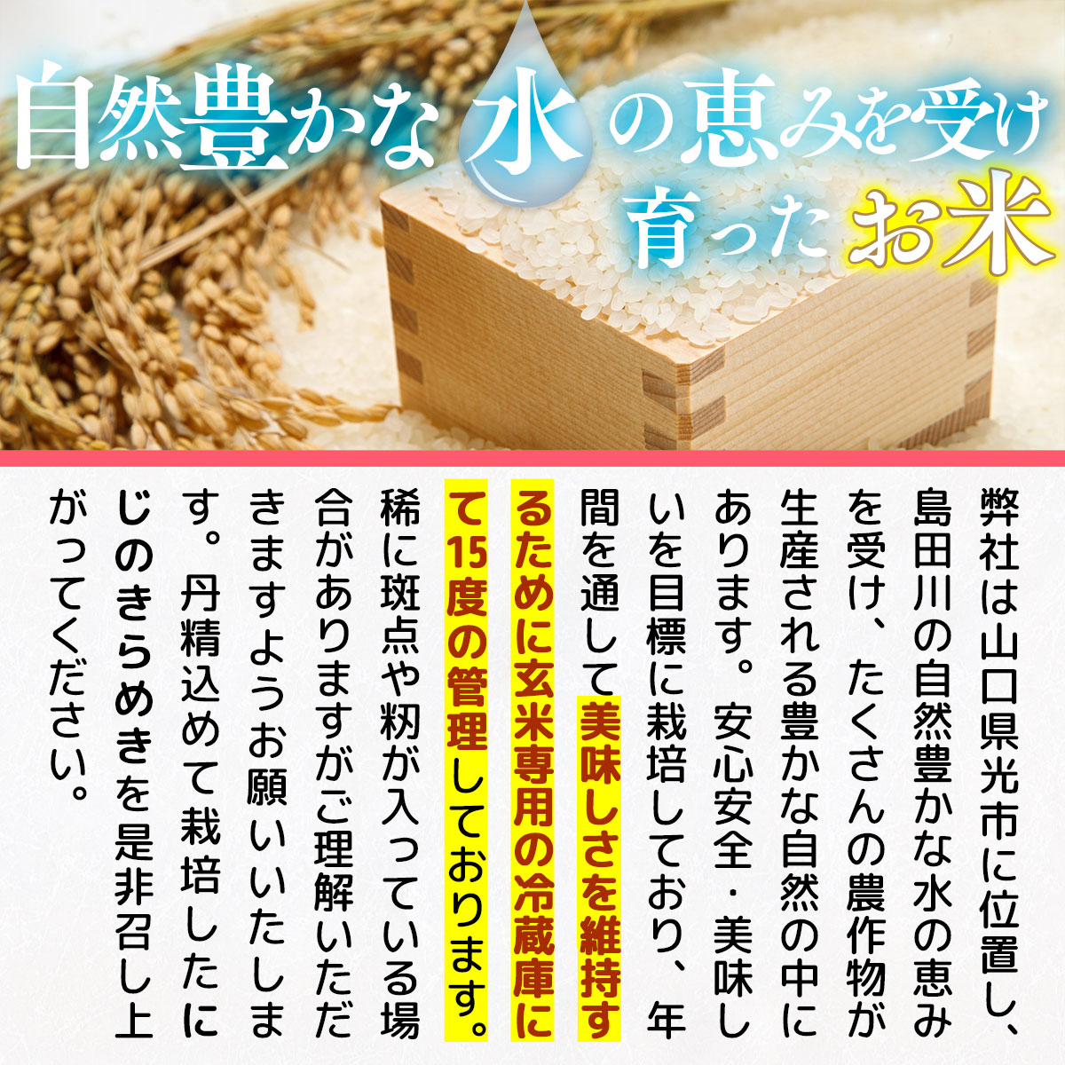 BM004  光市産 にじのきらめき 7kg (3.5kg×2)  米 お米 ご飯 お弁当 おにぎり 白米 精米 単一原料米 非常用 備蓄米