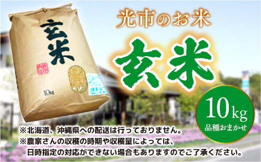 D005　光市のお米（玄米）10㎏
