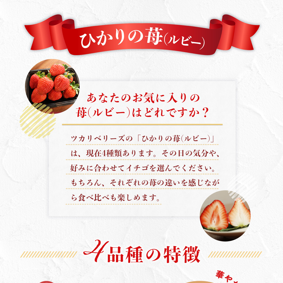 E014 ひかりの苺 （ルビー）4品種セット 1kg 2026年1月から4品種そろい次第順次発送 1000g やよいひめ おおきみ おいCベリー もういっこ イチゴ いちご 4パック 詰め合わせ 食べ比べ 山口県産