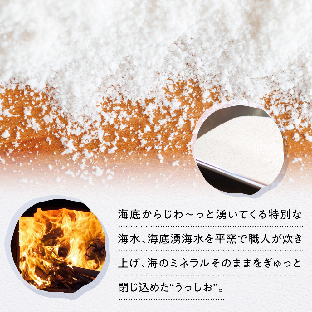 海底湧水塩うっしお 100g　 YE01