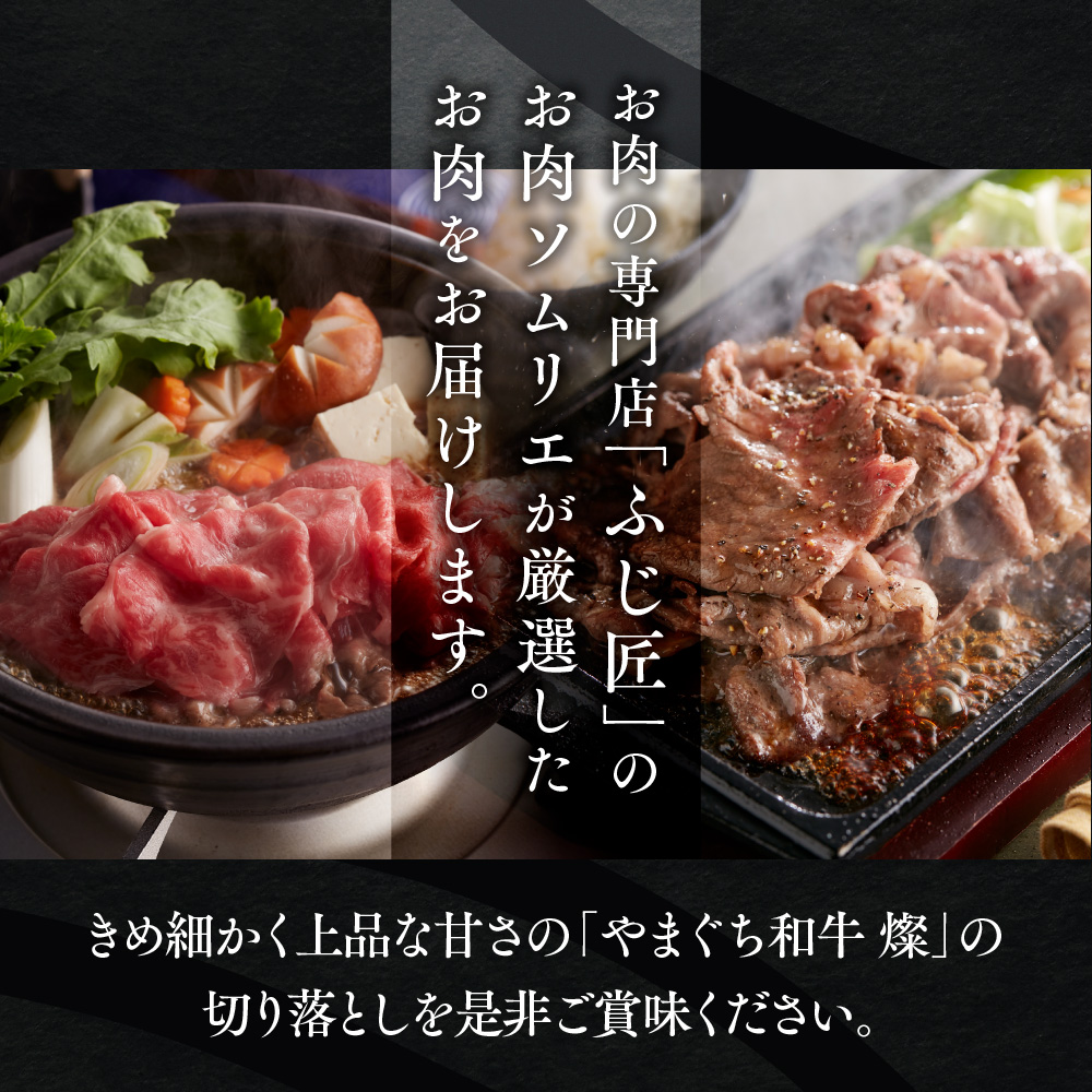 YF01 【共通返礼品】やまぐち和牛燦（きらめき）切り落とし（400g）