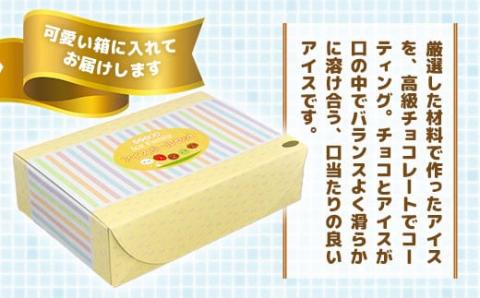 A002 チョコアイスボールセット（65粒入） 5種類×13個 バニラ ストロベリー コーヒー クランチ 抹茶