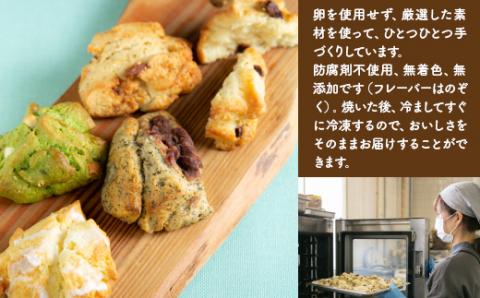 AM03 発信キッチンのパコーン 12個 チョコチップ 抹茶ホワイトチョコ 紅茶オレンジ 塩キャラメルナッツ クランベリー ホワイトチョコ スコーン