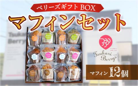 E003 ベリーズギフトBOX マフィンセット 12個 詰め合わせ