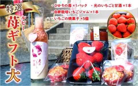 E008 特選いちごギフト（大）いちごギフト（大）詰め合わせ （光市産いちご300g×1, 甘酒 330g×1, いちごジャム×1個, 焼き菓子×5個）【100セット限定】【2026年1月12日以降発送】
