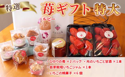 E009 特選いちごギフト（特大）いちごギフト（特大）詰め合わせ （光市産いちご 300g×2, 甘酒 330g×1, いちごジャム×1, 焼き菓子×6）【100セット限定】【2026年1月12日以降発送】