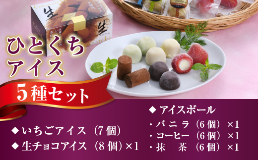 A014 【2/28受付終了】ひとくちアイス5種セット（33粒） 一口アイス 苺 アイス 生チョコ バニラ コーヒー 抹茶
