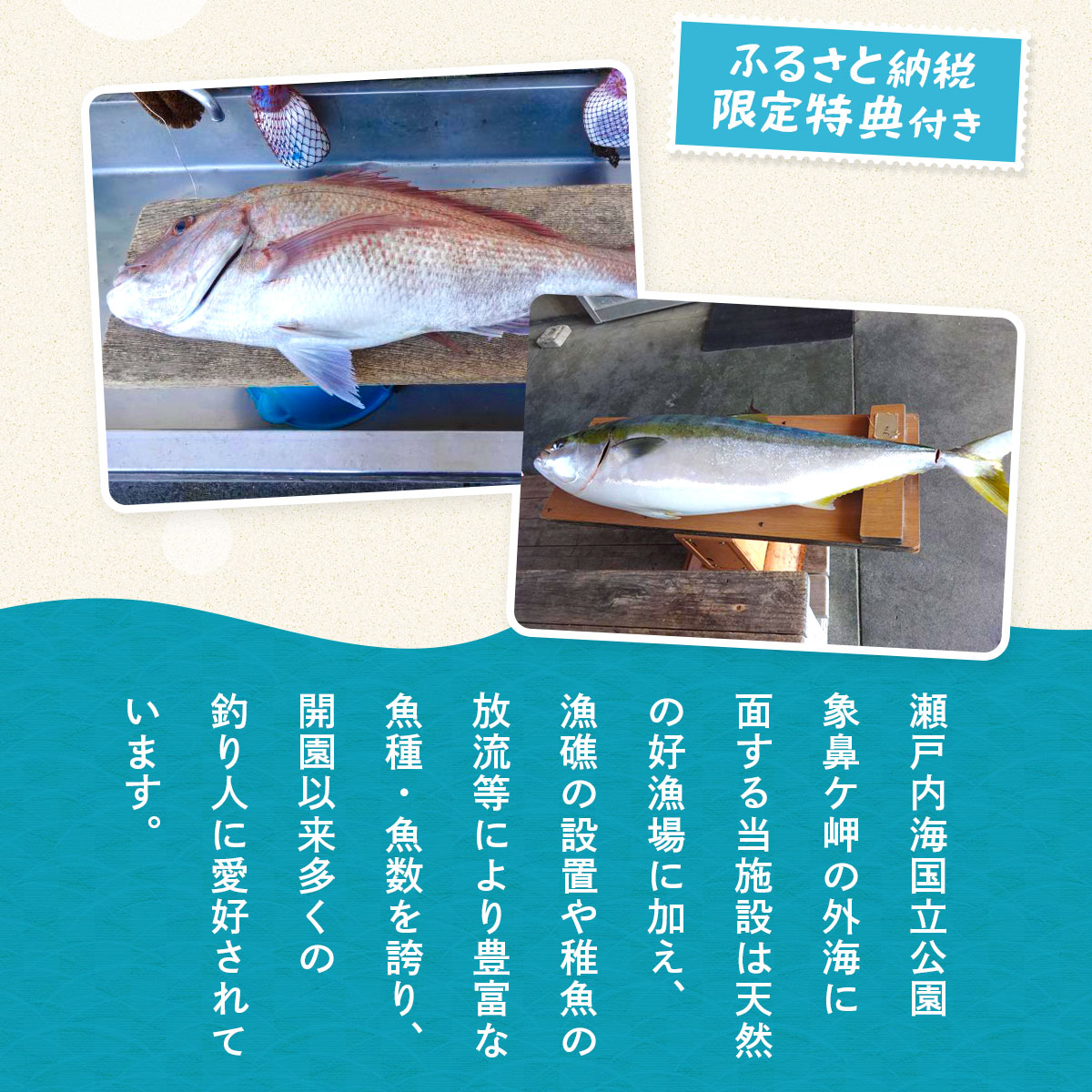 BP003 フィッシングパーク光個人つり回数券(11回分)ふるさと納税セット