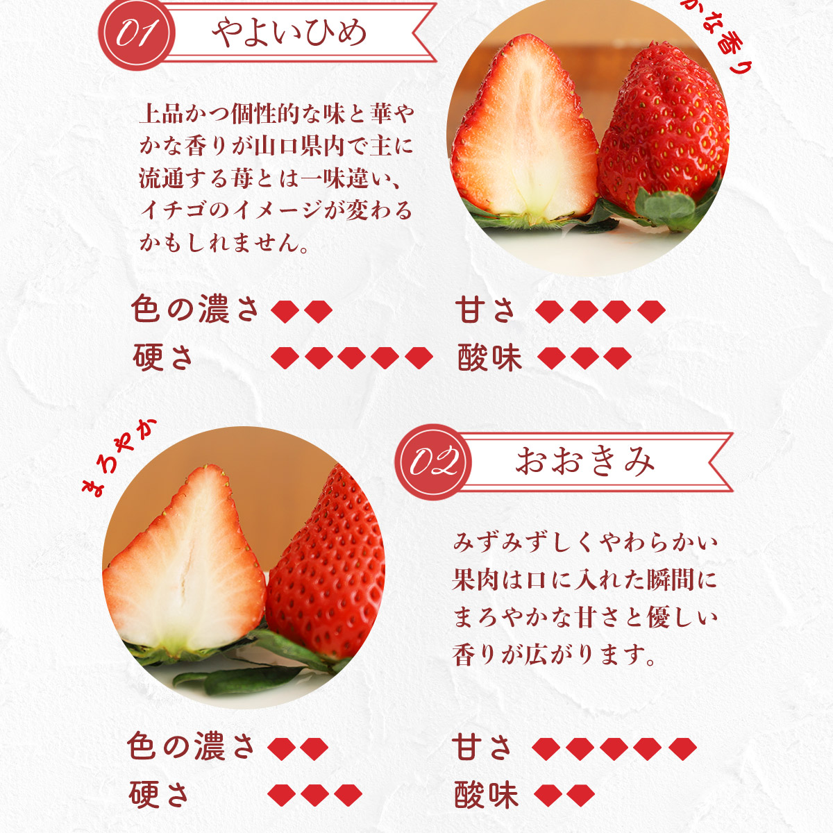 E014 ひかりの苺 （ルビー）4品種セット 1kg 2026年1月から4品種そろい次第順次発送 1000g やよいひめ おおきみ おいCベリー もういっこ イチゴ いちご 4パック 詰め合わせ 食べ比べ 山口県産