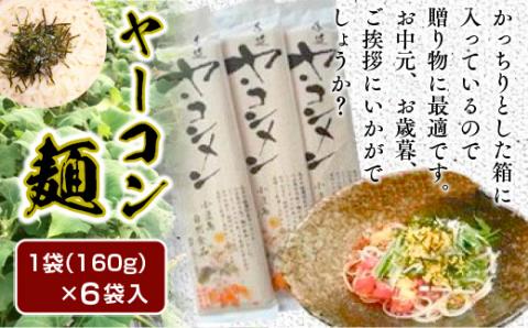 AF02 ヤーコン麺 6袋 1袋 160g（約2人前） もちもち食感 食物繊維