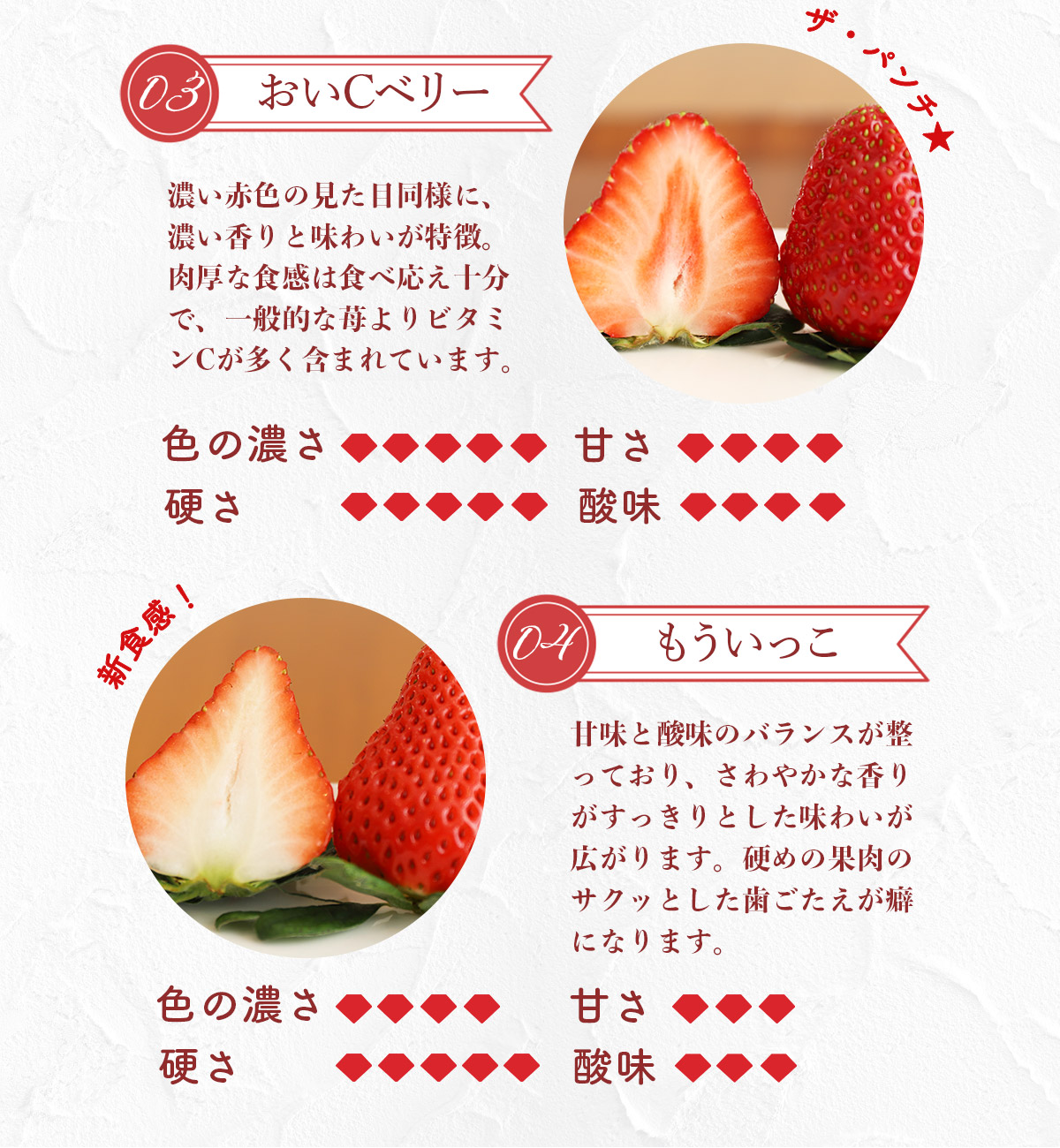 E014 ひかりの苺 （ルビー）4品種セット 1kg 2026年1月から4品種そろい次第順次発送 1000g やよいひめ おおきみ おいCベリー もういっこ イチゴ いちご 4パック 詰め合わせ 食べ比べ 山口県産