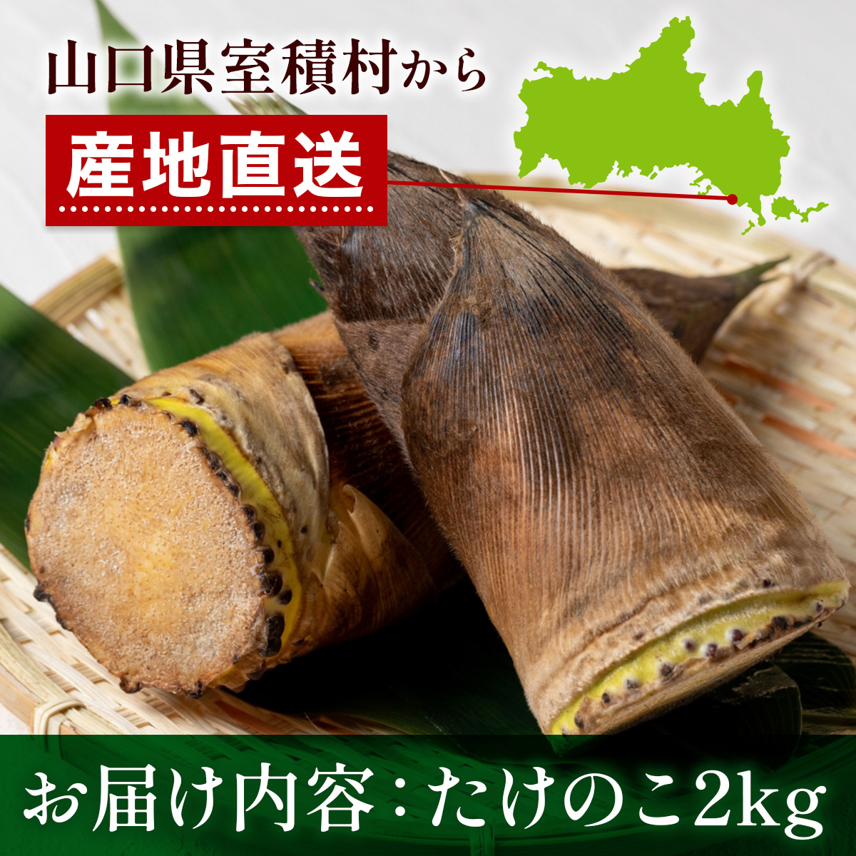YA01 光市産朝掘りたけのこ 2kg [2026年4月上旬から4月中旬にかけて順次発送予定] 山口県光市産 たけのこ 筍 タケノコ 国産 野菜 旬 新鮮 採りたて 煮物 味噌汁 炊き込みご飯