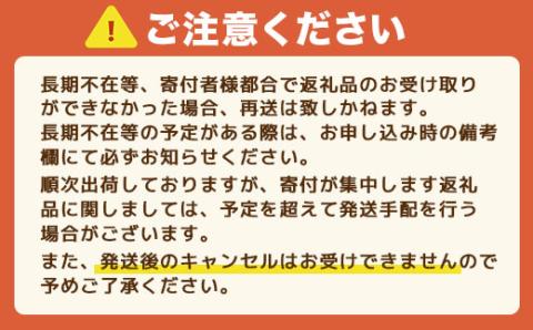 BA02 ホテル松原屋 6000円分クーポン