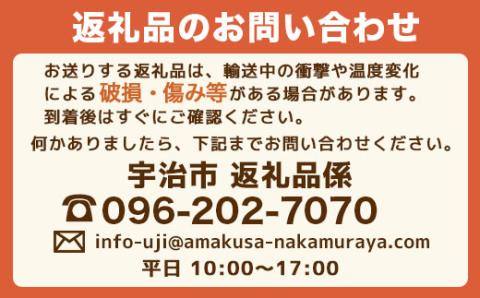 E007 光市産いちご 「ひかりのルビー」いちご （12粒×2パック）約600g 50セット限定 【2026年1月12日以降発送】