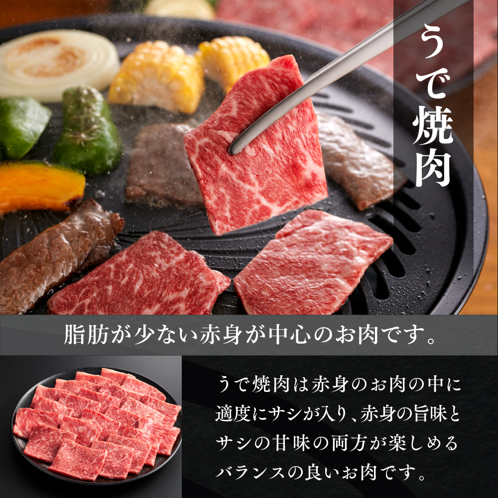 YF08 【共通返礼品】やまぐち和牛燦（きらめき）豪華満喫セット（1.7kg）