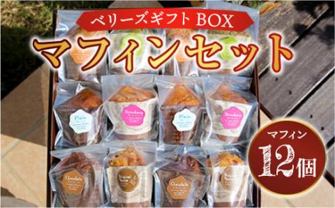 E003 ベリーズギフトBOX マフィンセット 12個 詰め合わせ