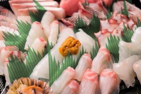 【定期便】 刺身 新鮮 盛り合わせ 仙崎発旬のお刺身盛合せ2-3人前 3D冷凍 長門市 隔月発送 全3回(1415)