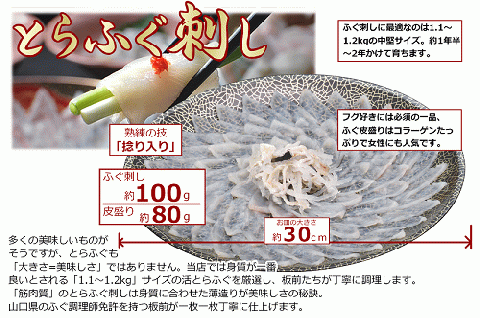 お中元ギフト【みすず】とらふぐ刺身4人前 約100g ふぐ皮湯引き ポン酢・赤おろし 風呂敷 専用化粧箱 プレゼント 贈り物 季節限定 きらく 長門市(10048)