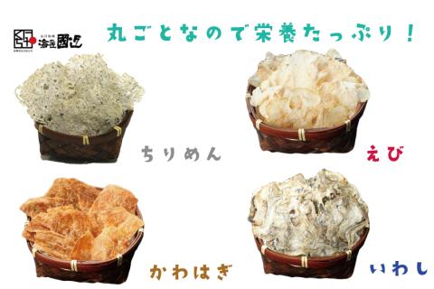 (1542)【定期便】お魚せんべい 4種類 隔月 全4回 10袋セット 合計40袋 かわはぎ えび ちりめん いわし