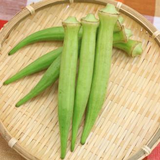 (1068)季節限定 希少野菜 白オクラ 1.5㎏ 訳アリ 訳あり 緊急支援品