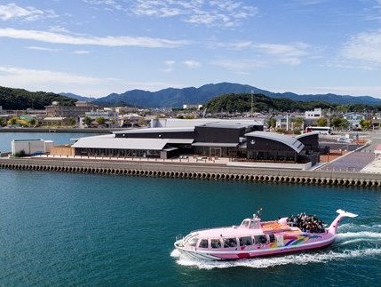 (1328)青海島観光汽船乗船券2名様分と山口県産とらふぐ刺身（冷凍）