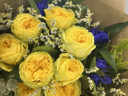 お花の定期便 バラ花束 毎月発送(全3回)【藤野バラ園 フルール縁 花 山口県 長門市】(1410)