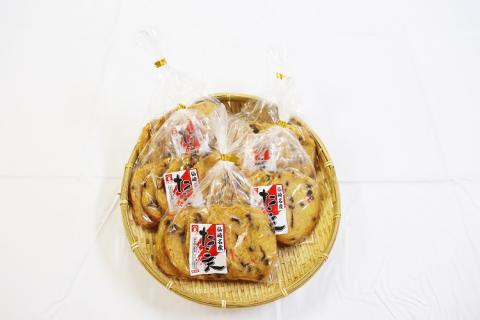 たこ天ぷら丸 天ぷら タコ天 合計25枚 5枚入り×5袋 練り物 長門市(10074)