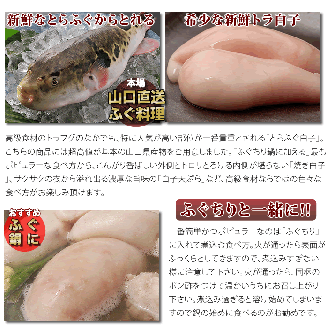 数量限定 限定 ふぐ 白子 とらふぐ白子 とらふぐ 小分け 1kg 訳あり わけあり 訳アリ  (1522)