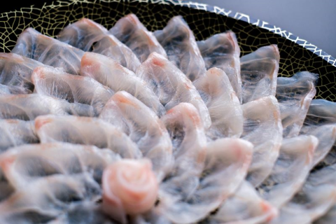 幻の高級魚 クエ刺身 (薄造り) 4～5人前 240ｇ 冷凍 山口県 長門市 仙崎港水揚げ 冷凍 年内配送 (1355)