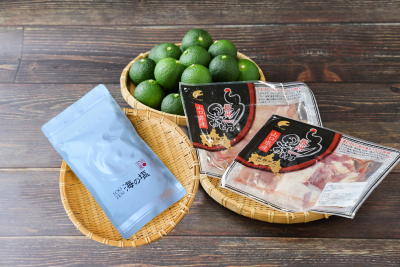 長州黒かしわもも・むねのセット(家政婦タサン志麻さんのレシピ集付き)【鶏肉 地鶏 冷凍 伝説の家政婦志麻さん タサン志麻 家政婦 伝説の家政婦 セット レシピ集付き レシピ 長門市 食材 もも肉 モモ肉 むね肉 胸肉 鶏モモ 鶏もも 鶏むね 鶏ムネ 肉 お肉 ゆずきち 塩 海の塩】(1092)