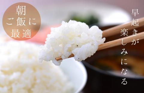 (1033)お米 白米 萩原さん家のミルキークイーン1kg×5袋 山口県 長門市 精米 小分け 合計5kg　令和6年度産