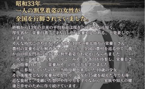 子宝の栄養おかず味噌 「みそのチカラ」３本セット(10090)