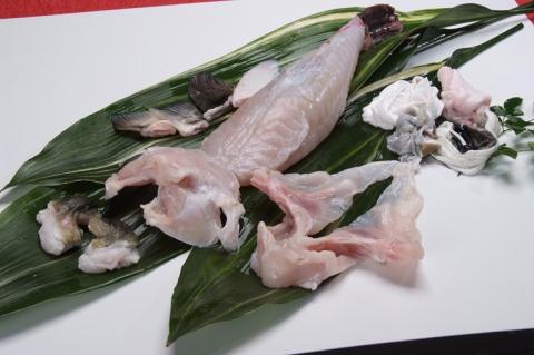 (1376) 【期間限定】とらふぐ 身欠き 900～950g 干しひれ付き 冷蔵 フグ 河豚 長門市