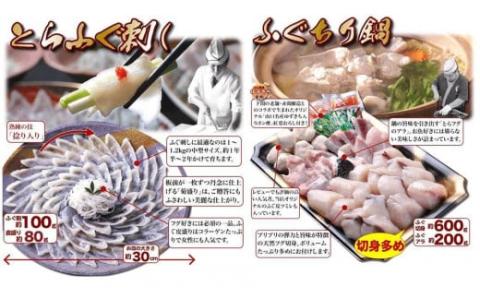 天然ふぐ鍋とらふぐ刺身セット4～5人前 冷凍 ツミレ付き【山口県 長門市 ふぐ ふぐ刺し ふぐちり ふぐ鍋 ひれ酒 人気 国産 とらふぐ 宴会 板前 ポン酢 薬味 家族 配送日指定可能 日時指定可能 】(1306)