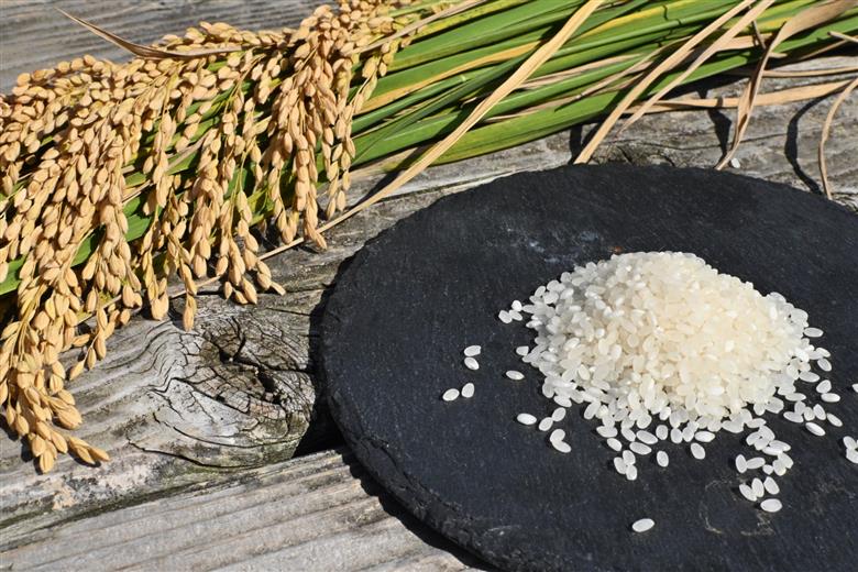 【令和7年度産】 お米 3kg 山口県産 長門市 日置ノ庄米 白米 ご飯 精米 ブレンド米 こしひかり ひとめぼれ きぬむすめ にじのきらめき 国産 (10164）