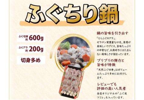 とらふぐ白子付き天然ふぐ鍋・とらふぐ刺身セット4-5人前  (1379)