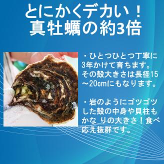 牡蠣 カキ 岩ガキ 岩がき 岩牡蠣 岩カキ 大容量 海のミルク 濃厚 クリーミー 夏バテ防止 10kg  焼き 蒸し 加熱 (1405)