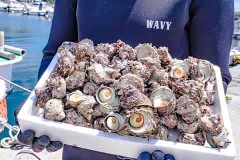 さざえ サザエ さざえの瓶詰め 瓶詰め 栄螺 8本セット 25g 刺身 味付 長門市(10029)