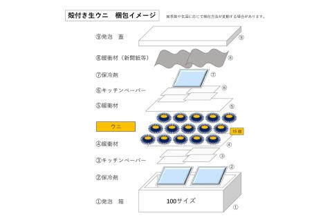 【訳あり】殻付きウニ 15個(1個約5cm未満) 【訳アリ 小サイズ 生うに 雲丹 生うに 雲丹 殻付き ムラサキウニ 山口県 長門市】(1407)