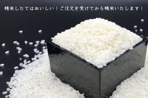 ながとのこめ こしひかり 玄米 1kg×5袋 合計15kg コシヒカリ 小分けパック 長門市 (10054)