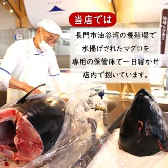 (1037)油谷産養殖本マグロ 赤身 中トロ 柵セット