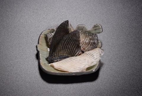 とらふぐ 刺身 3～4人前 刺身120g とらふぐ皮120ｇ とらふぐヒレ6枚 もみじおろしとポン酢付き 冷凍  (1209)