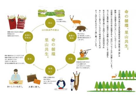 鹿肉 もも ブロック 1.2kg【肉 鹿肉 ブロック もも肉 しかにく ジビエ 精肉 ヘルシー 生肉 赤身 冷凍 鹿 しか シカ 長門市 山口県】(1166)