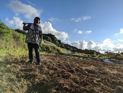 青舞　ジン　アルコール　お酒(1254)